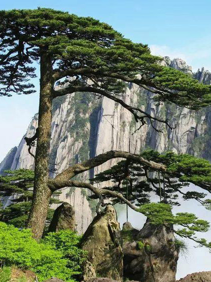 huangshan