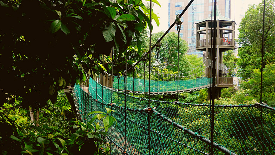 Banyan Tree Malaysia Pavilion Hotel Experiences - Kl Forest Eco Park Day Shot